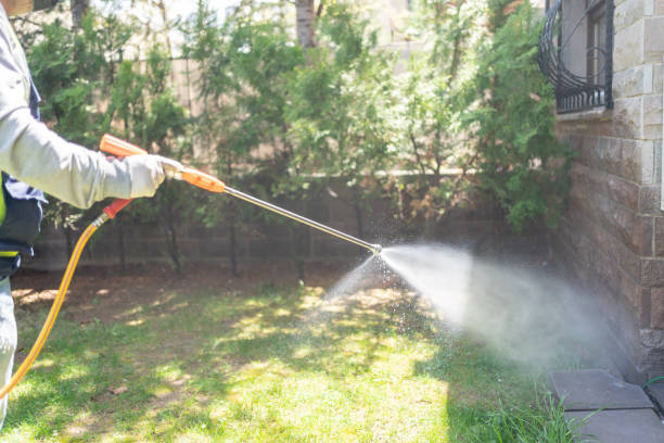 Best Mosquito Control Services  in Sophia, WV