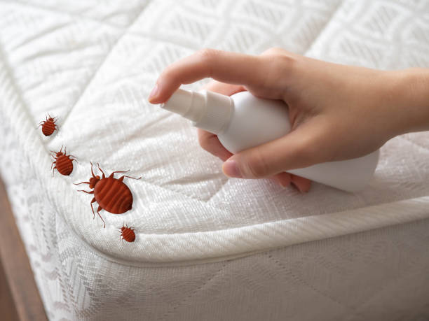 Best Cockroach Control Services  in Sophia, WV