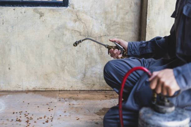 Professional Pest Control in Sophia, WV